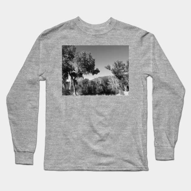 Trees in the desert Long Sleeve T-Shirt by Illuminations